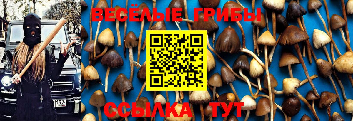Псилоцибиновые грибы MAGIC MUSHROOMS  Вход с VPN  Лангепас  Псилоцибиновые грибы прущие грибы 
